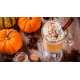 купить Оральный лубрикант JO Pumpkin Spice - пряная тыква Оральный лубрикант JO Pumpkin Spice - пряная тыква